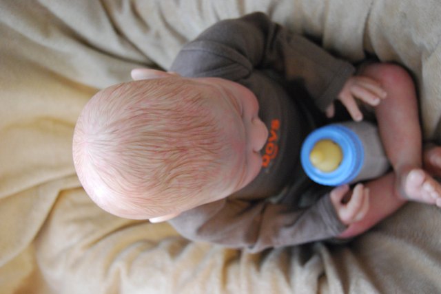 il_fullxfull.421993599_omw2