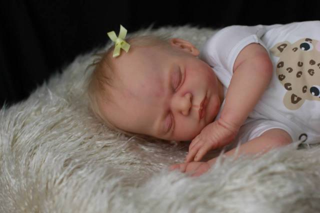 1379636_218403951667738_885054671_n