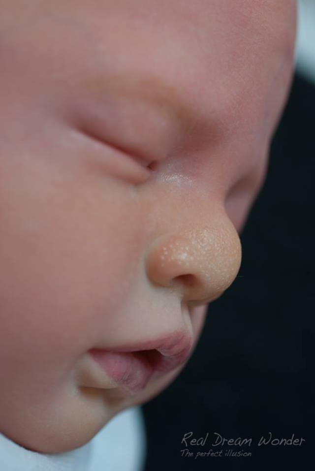 1476484_428025927323830_1795699055_n