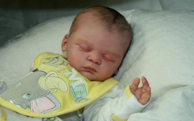 484724_347176992063175_785590445_n