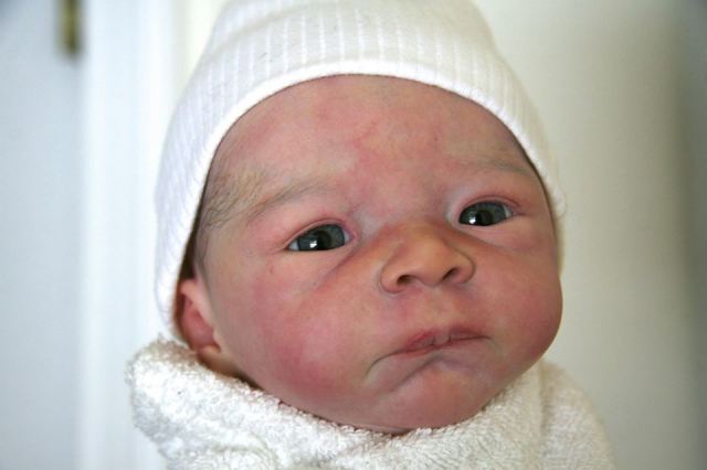 10175065_708224595900534_6862571895519944268_n