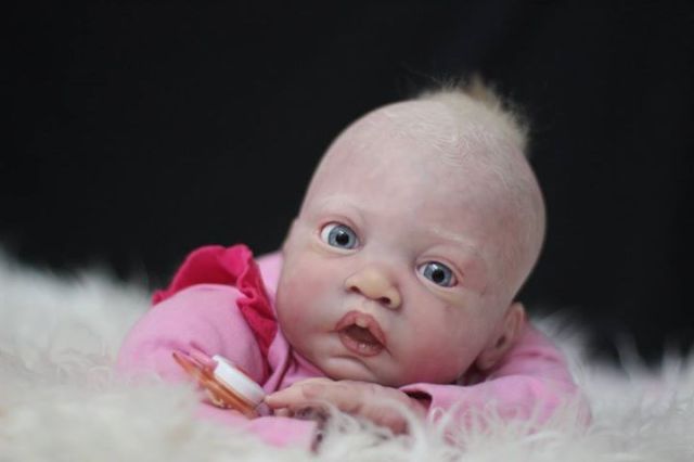 10299133_362296587278473_5854683548970777199_n