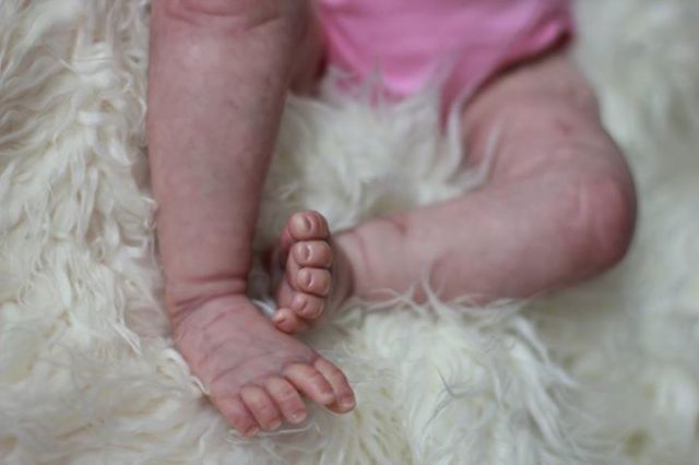 10610870_362296947278437_6016440984663623386_n