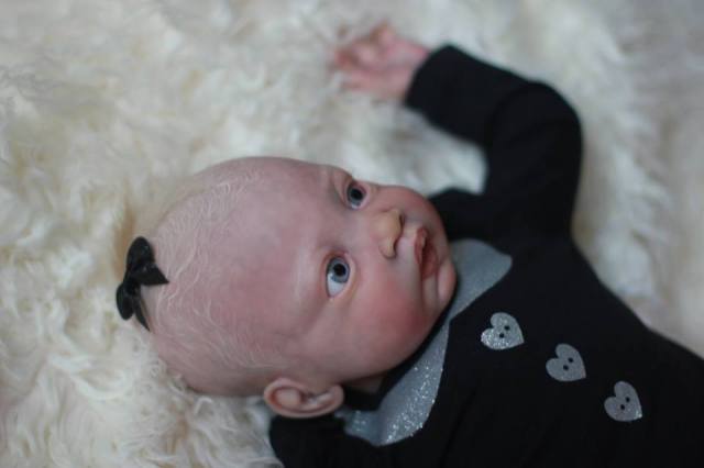 64380_362297970611668_4271896037672664241_n